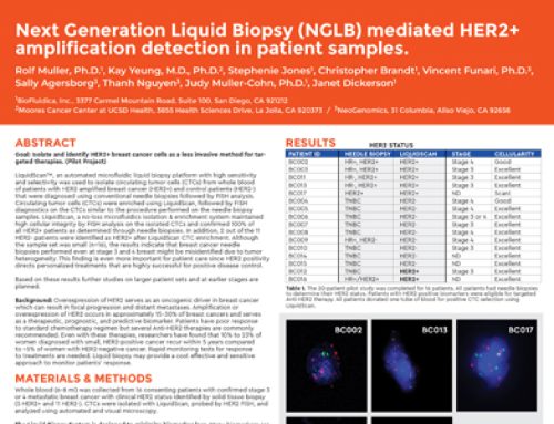 HER2+ Breast Cancer Pilot Study