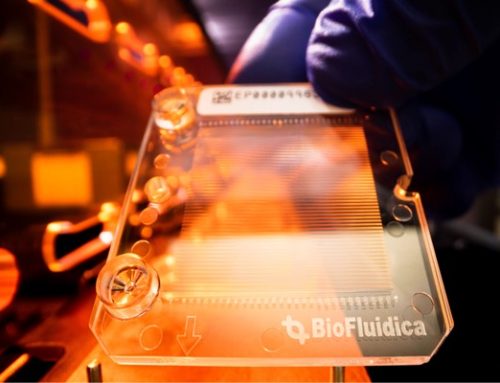 Assessing Breast Cancer Molecular Subtypes Using Extracellular Vesicles’ (EVs’) mRNA